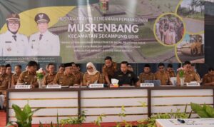 IMG-20250310-WA0041